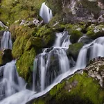 La Regoria *
