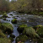 La Regoria