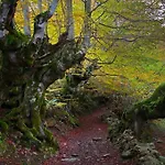 Apartmán La Regoria Arenas De Cabrales