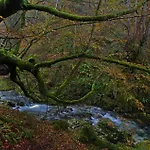 La Regoria Arenas De Cabrales