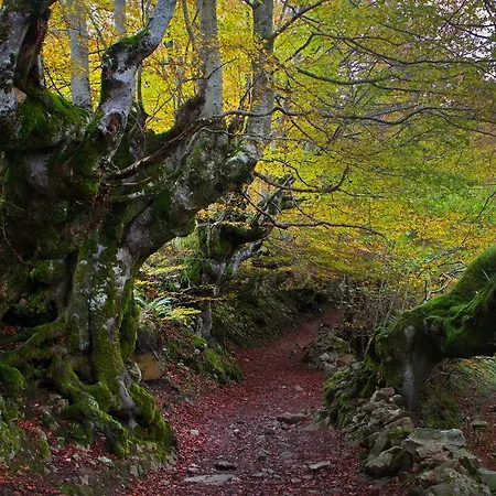 Daire La Regoria Arenas De Cabrales