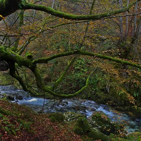 La Regoria Arenas De Cabrales
