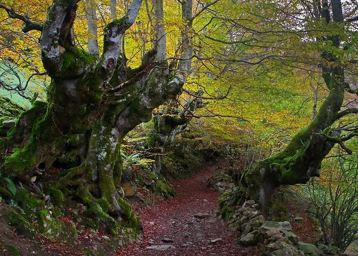 Apartamento La Regoria Arenas De Cabrales