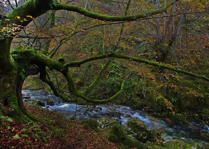 La Regoria Arenas De Cabrales